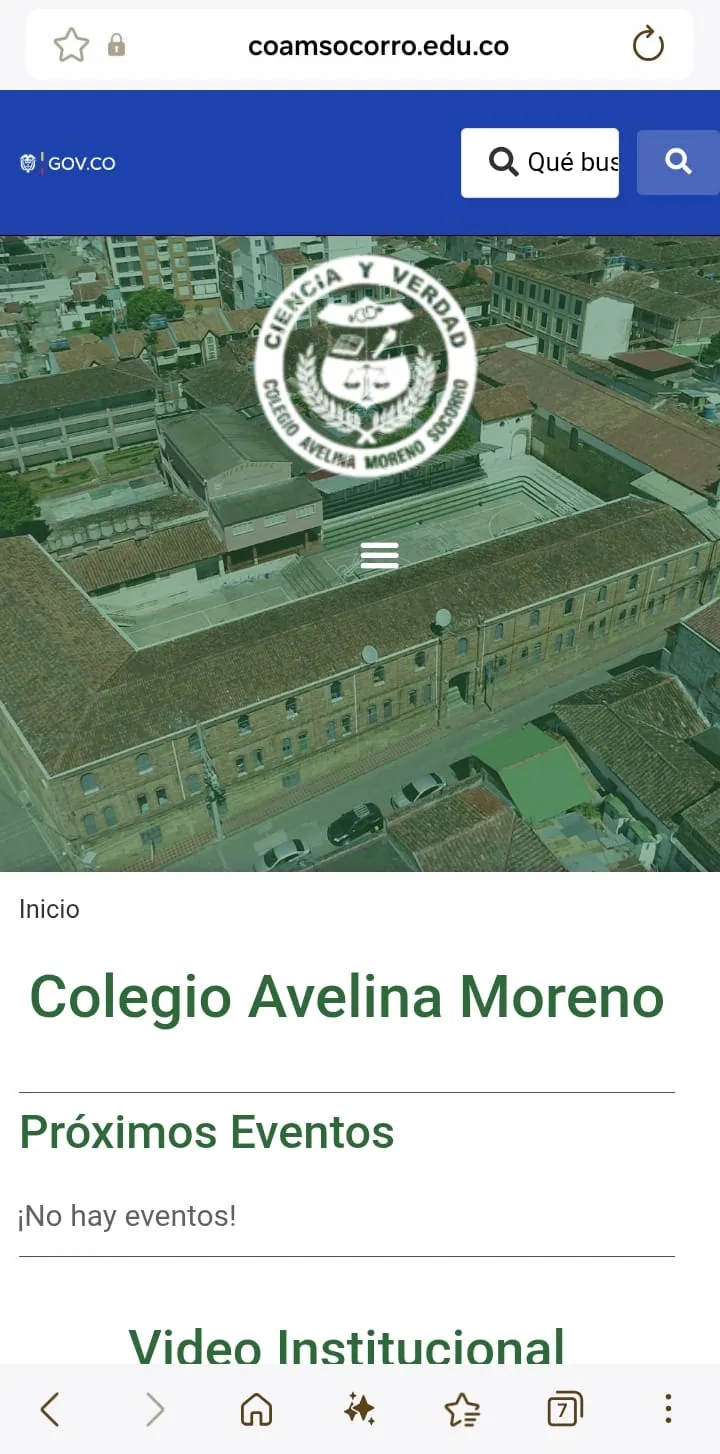 Mobile view of the Colegio Avelina Moreno website