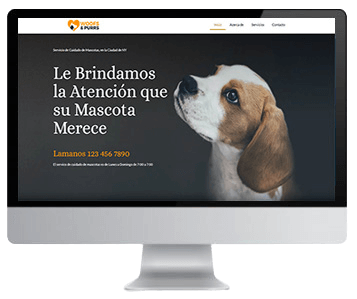 Paginas web profesionales - Omar Hernando Velasquez